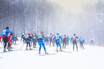 Group of nordic skier in professional race - obrazy, fototapety, plakaty