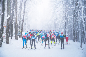 Professional nordic ski competition