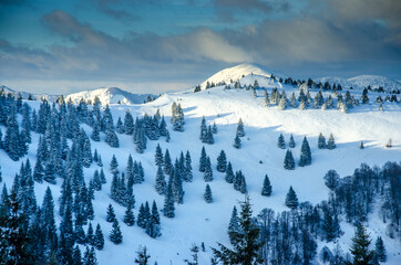 Winter meadows. Carpathian Mountains. Mala Fatra, Slovakia. High Quality Photo