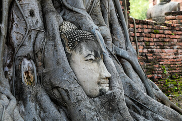 Buddha images worshiped in the Ayutthaya period that are over a hundred years old.