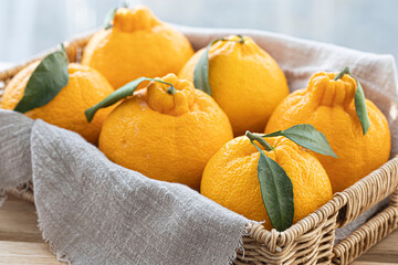 Tangerine Hallabong in a basket with white background, South Korea.