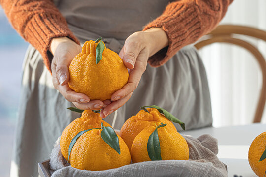 Tangerine Hallabong in a basket with white background, South Korea.