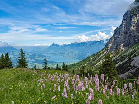 Unterwegs auf dem Trans Swiss Trail von S&ouml;renberg nach Giswil - Ausblick auf den Sarnersee mit Stanserhorn im Hintergrund, Schweiz