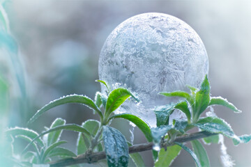 A frozen soap bubble.
