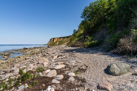 The Baltic Sea coast with the cliffs of Boltenhagen, Mecklenburg-Western Pomerania, Germany