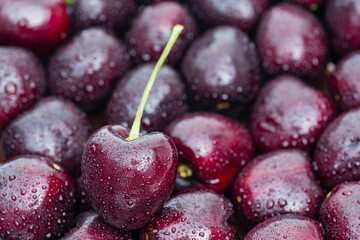 close up view of fresh red cherry with water droplets, selective focus