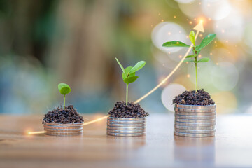 young plant on coin stack with up arrow, concept for saving money