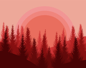 Coniferous forest in the light of bright sunlight. Dense forest © Karyna