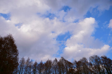 林の上に広がる青空