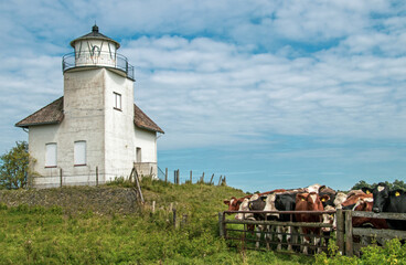 Impressionen von der Elbe