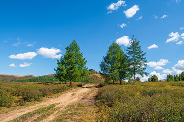 Fototapeta na wymiar Way to the distance, way over the hill to the sky. Dirt road through the field. Atmospheric mountain scenery with length road among hills. Blue sky with autumn mountain and foot path through fir trees