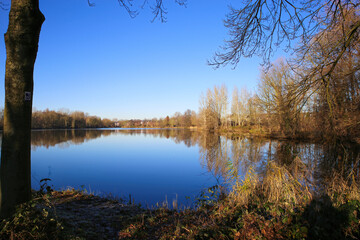 View on lake with bare trees forest against blue winter sky - Nettetal (Lobberich), Germany