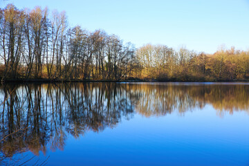 Fototapeta premium View on lake on frosty winter day with reflection of bare trees against blue clear cloudless sky - Nettetal (Lobberich), Germany