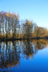 View on lake on frosty winter day with reflection of bare trees against blue clear cloudless sky - Nettetal (Lobberich), Germany