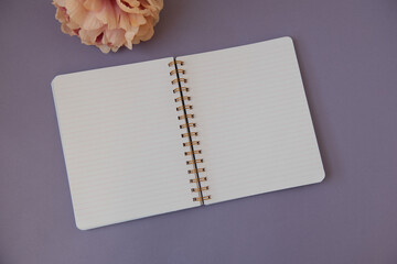 Cahier ouvert sur une page blanche sur un bureau mauve avec une fleur rose pour un style féminin © Pause Papote