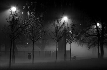 Nocna mgła