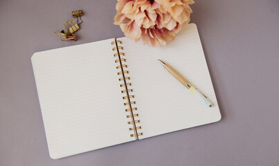 Cahier à spirale ouvert sur une page blanche avec un stylo, des pinces dorées et une fleur rose...