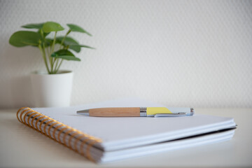 Cahier ouvert sur une page blanche avec un stylo sur un bureau blanc devant un mur blanc avec une plante vert - espace vide et épuré