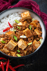 Bowl of mapo tofu or chinese dish made of tofu cubes, ground pork and white rice, close-up, vertical shot
