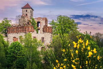 Wieża zamkowa © DRONE QUEST