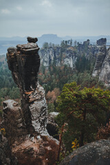 Sächsische Schweiz in Sachsen Deutschland mit Sandstein Felsen und Wald Nationalpark