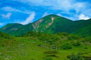 Fototapeta na wymiar 夏の山の風景
