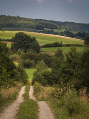 Polna droga © DRONE QUEST