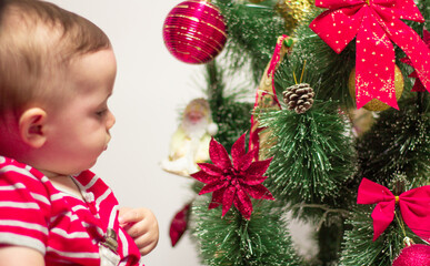 Admirando os lindos enfeites da árvore de Natal