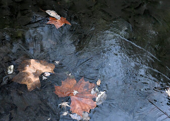 混沌とした世の中。地球温暖化が懸念される今、私たちにできることは何か、何をなすべきか。私たちはあまりにも地球を傷つけすぎてしまった。これからでも遅くはない、この母なる地球に畏敬の念を抱き、私たちの子孫のためにも、この地球を守っていかなければならない。