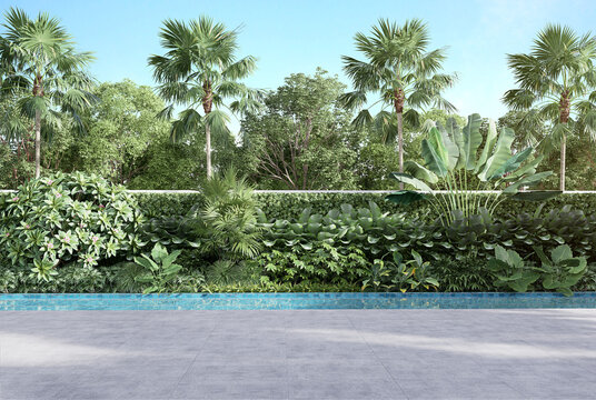 Empty swimming pool terrace with nature view background 3d render, There are concrete tile floor ,Blue tile in the swimming pool surrounded by nature.