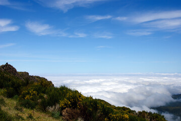 Madeira at the atlantic ozean, view over the clouds, on the way to pico do arieiro (c)WOB