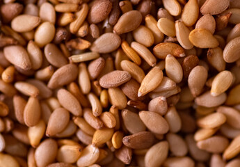 close up of sesame seeds