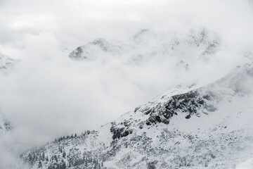 Schnee in den Alpen Bergen Winter mit Bäumen und Felsen 