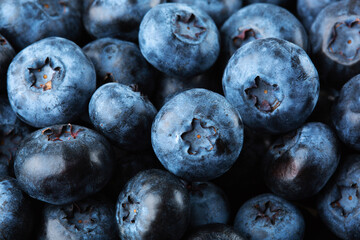 Blueberries background. Closeup ripe blueberries macro shot
