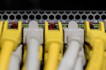 Netzwerk-Switch in Nahaufnahme mit gelben und grauen Kabeln