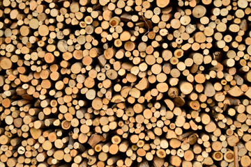 Outdoor stacked dry wood, wood cross section, natural textured background