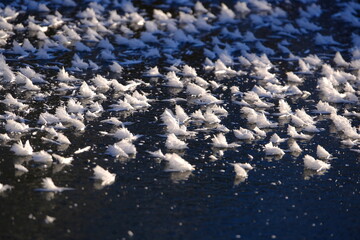 Fascinating ice crystalls on a frozen lake - 477853949