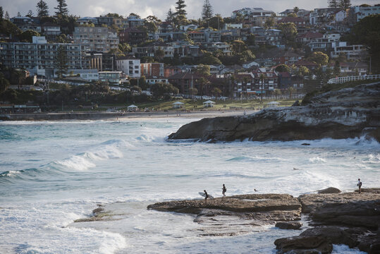 Vista su Tamarama e Coogee beach, Australia