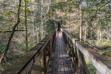 Trail Bridge