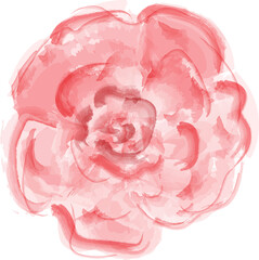 pink watercolor aquarelle rose flower element