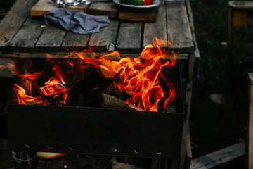 burning firewood in the grill