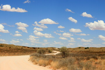 Dirt Road of the Kgalagadi