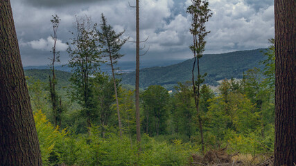 The landscape of the Sowie Mountains on the hiking trail to Wielka Sowa - obrazy, fototapety, plakaty