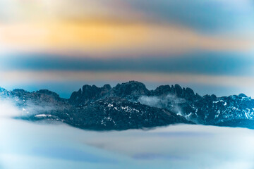 vineyard landscape, rural landscape