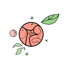 Unopened pink peony with leaves