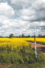 Rural scene with rusty road sign along gravel road next to yellow canola rapeseed fields in Sweden