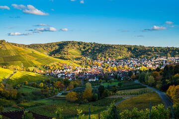 Germany, Stuttgart uhlbach houses and church between colorful vineyards landscape at sunset in autumn