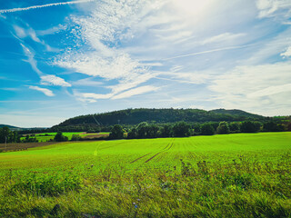 field and blue sky