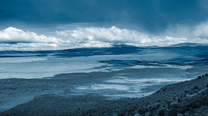 wild tanzanian animals in ngorongoro africa