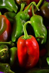 Obraz na płótnie Canvas red and green peppers